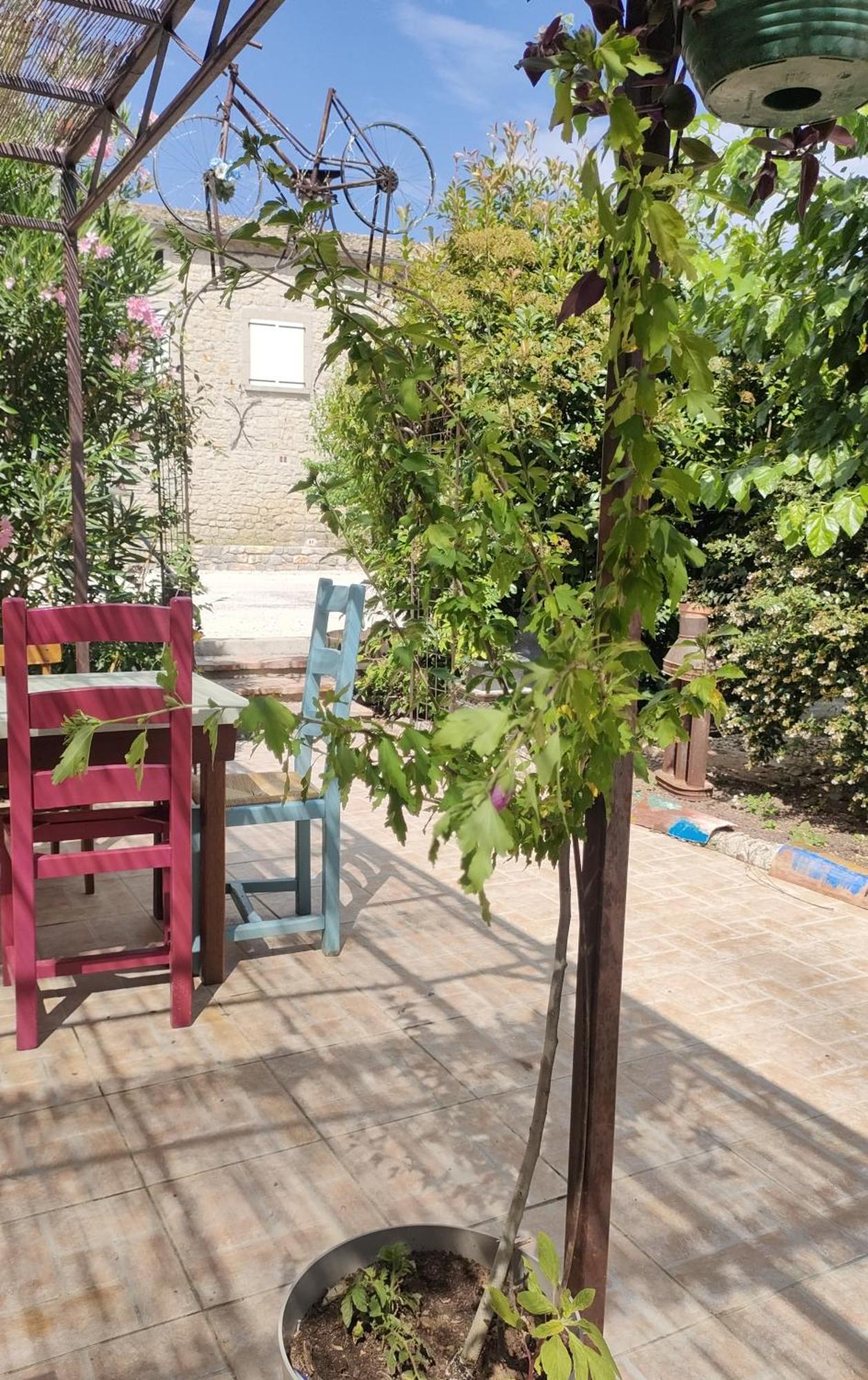 Les P'Tits Velos Bed and Breakfast Chandolas Exterior foto