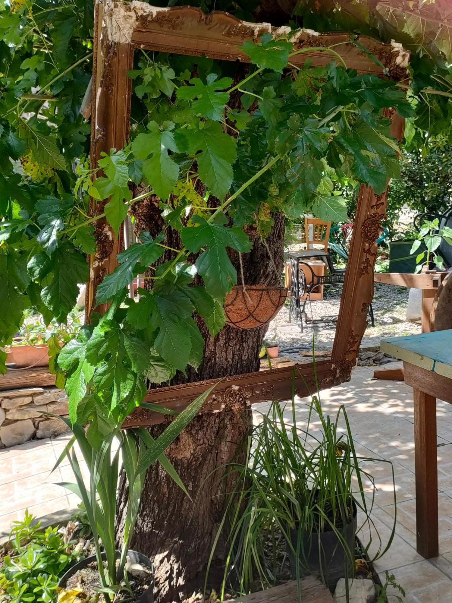 Les P'Tits Velos Bed and Breakfast Chandolas Exterior foto
